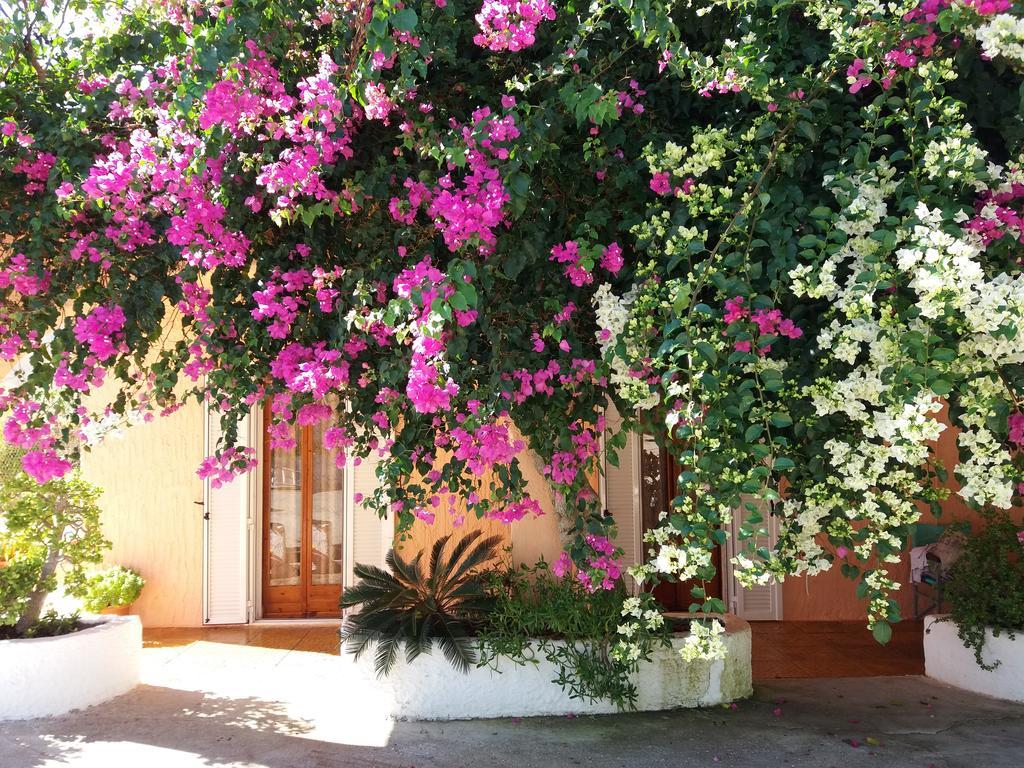 Constantinos Apartments Lassi  Exterior foto