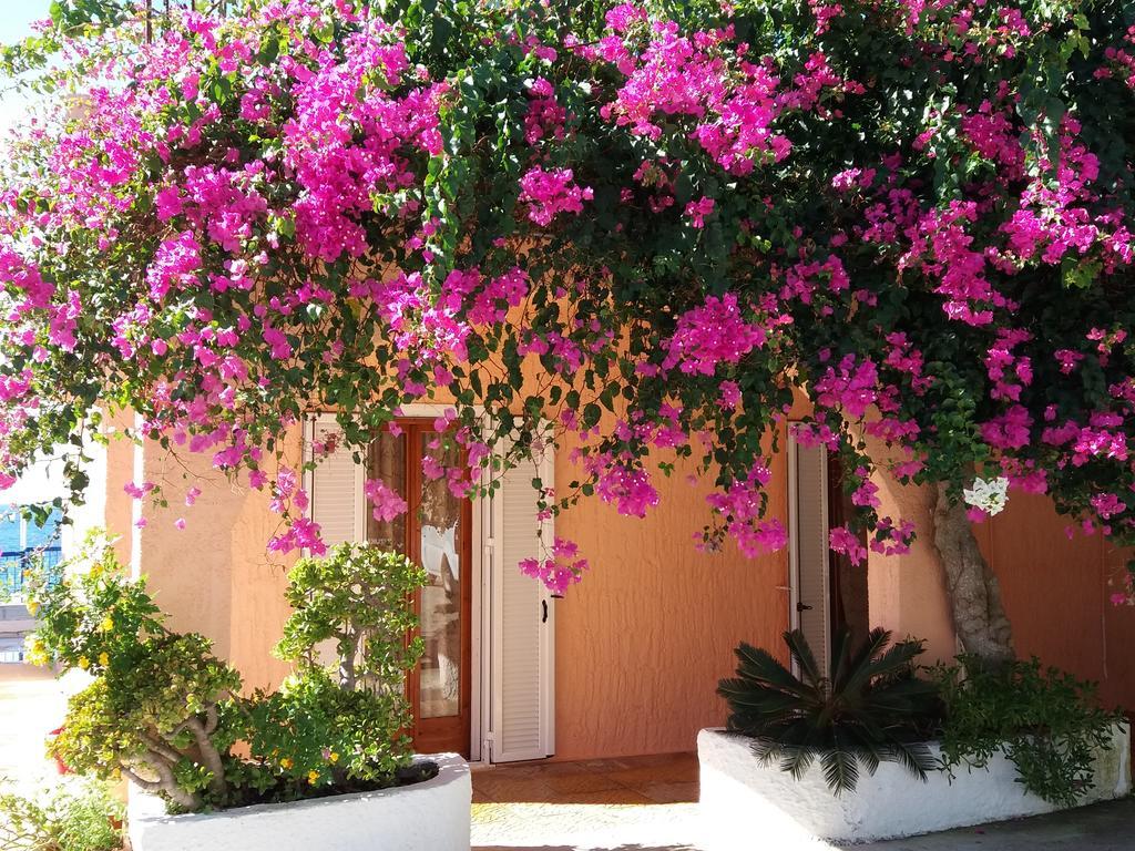 Constantinos Apartments Lassi  Exterior foto
